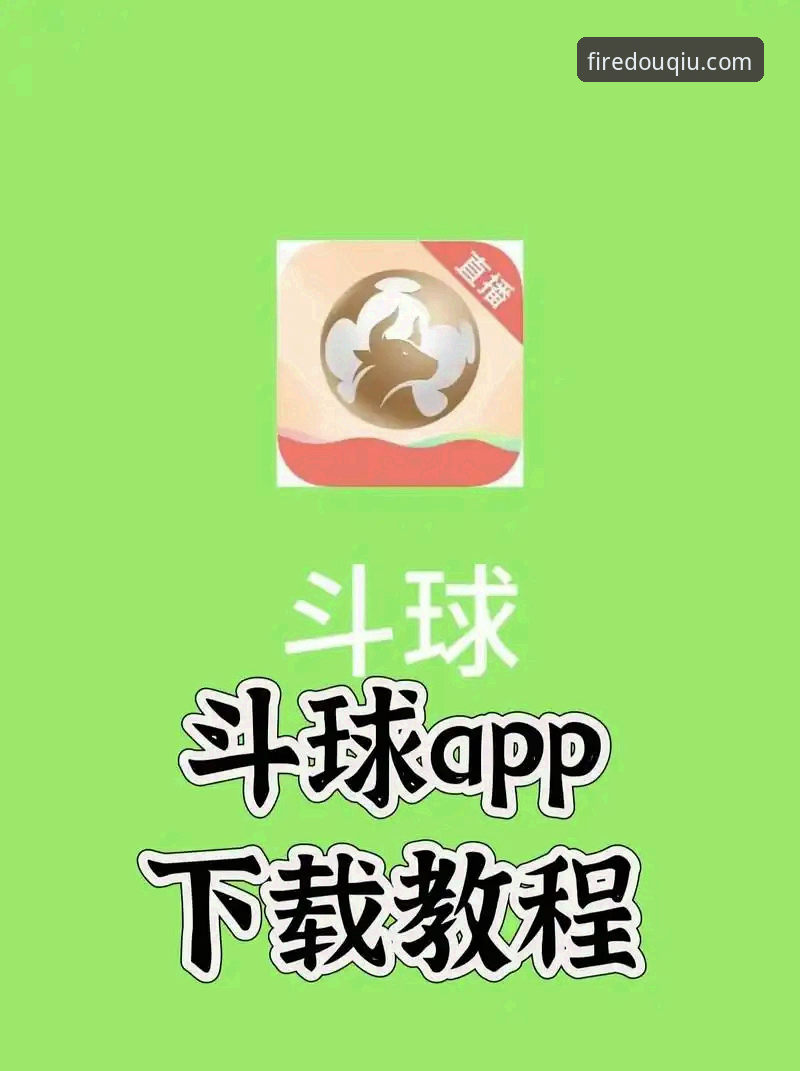 斗球D7K9安卓版使用体验详解